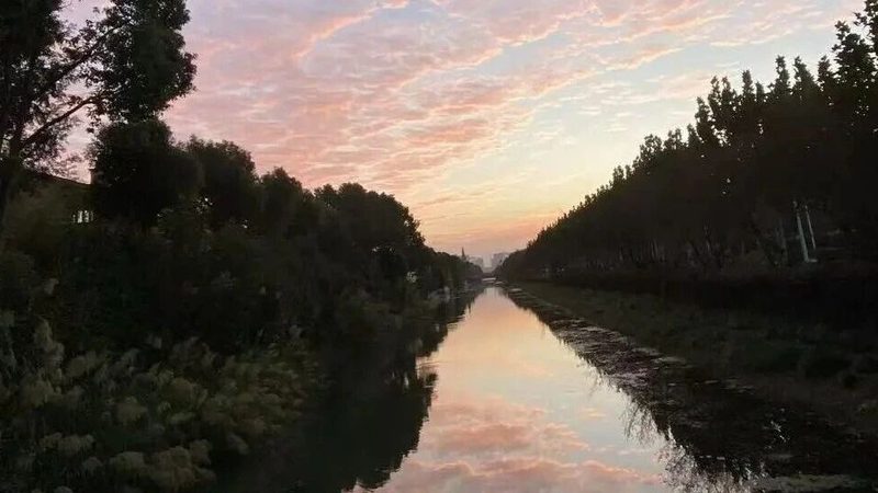 公司注销前，社保公积金注销的真相与流程